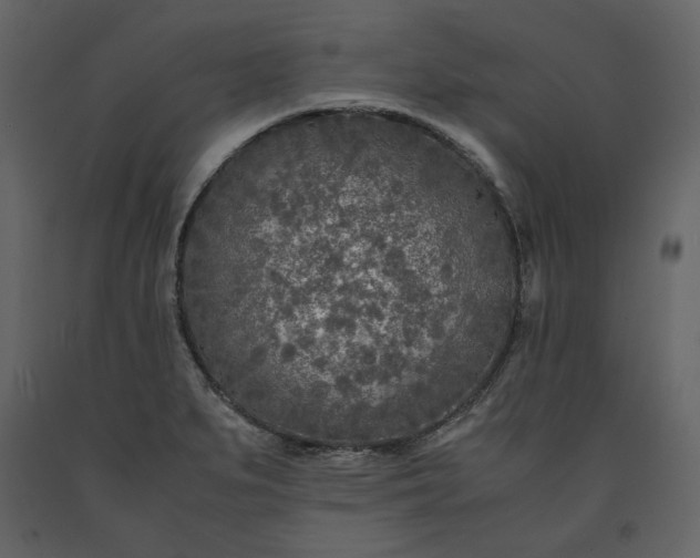 X0000091521279200708241642