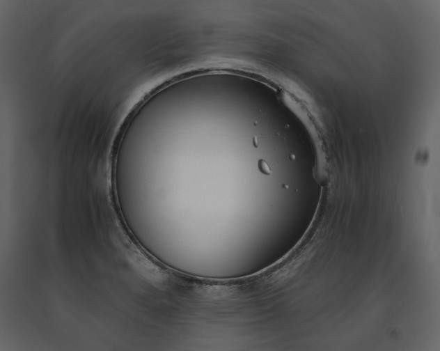 X0000091521280200708241642