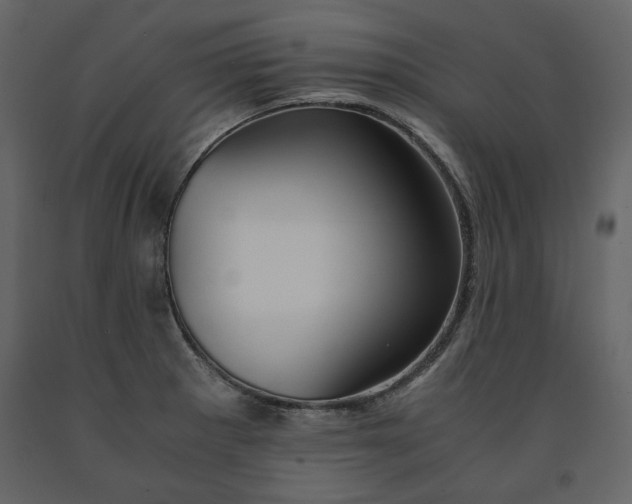 X0000091521281200708241642