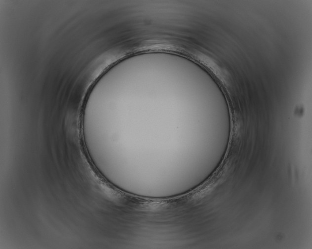 X0000091521282200708241642