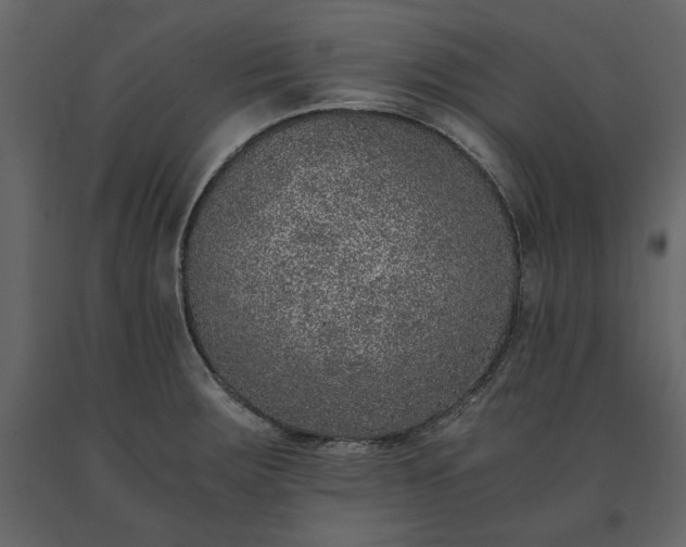 X0000091521283200708241642