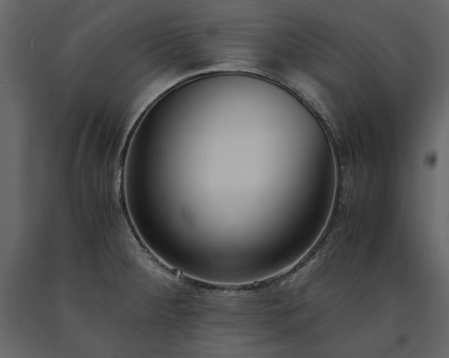 X0000091521284200708241642
