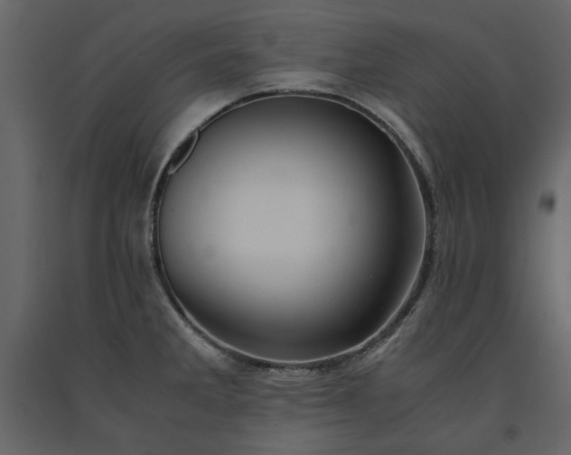 X0000091521285200708241642