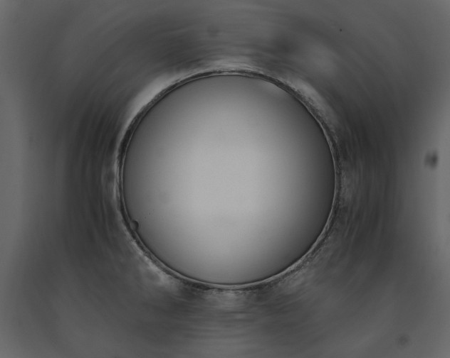 X0000091521286200708241642