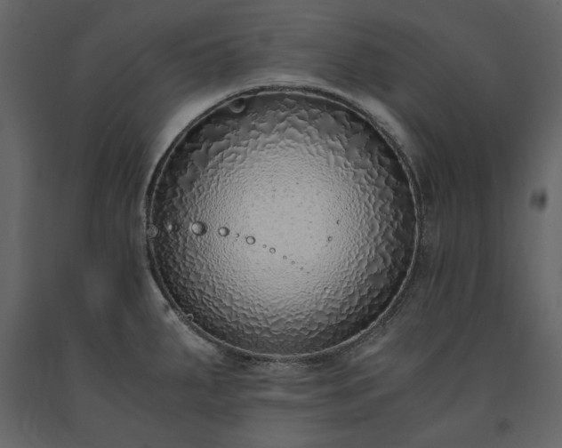 X0000091521287200708241642