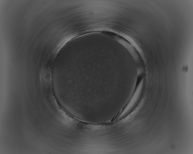 X0000091521289200708241642