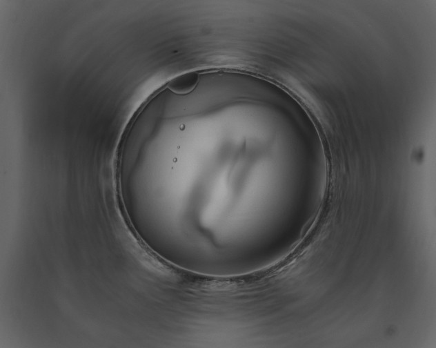 X0000091521291200708241642