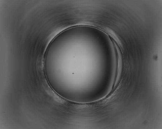 X0000091521292200708241642