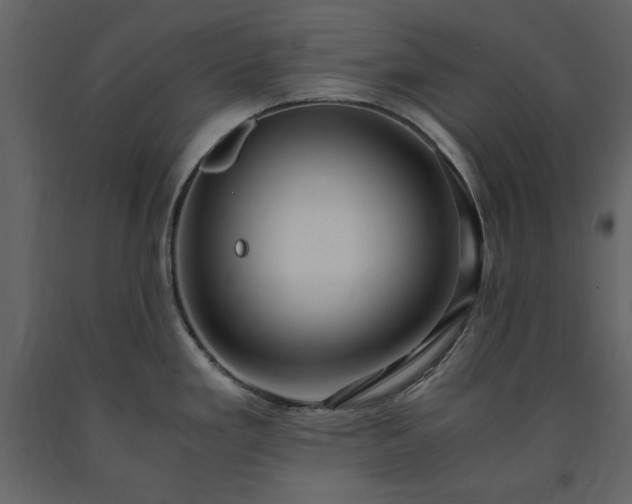 X0000091521293200708241642