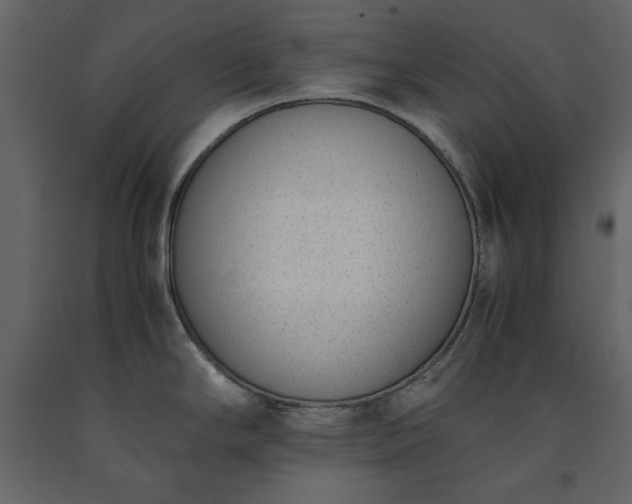 X0000091521294200708241642