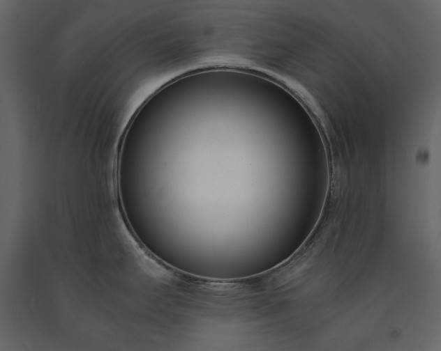 X0000091521295200708241642