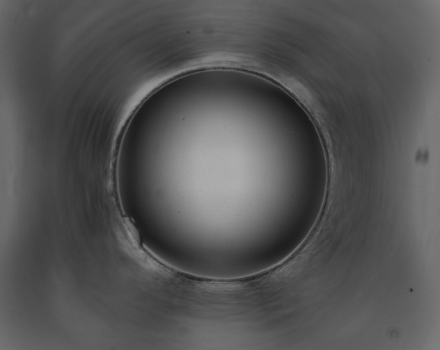 X0000091521296200708241642