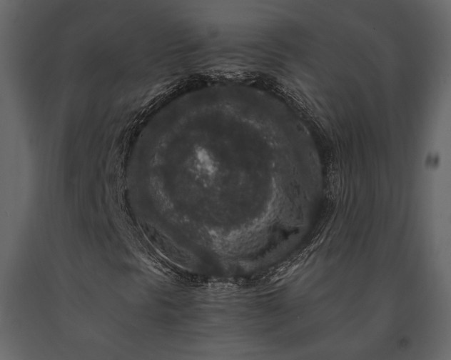 X0000091521297200708241641
