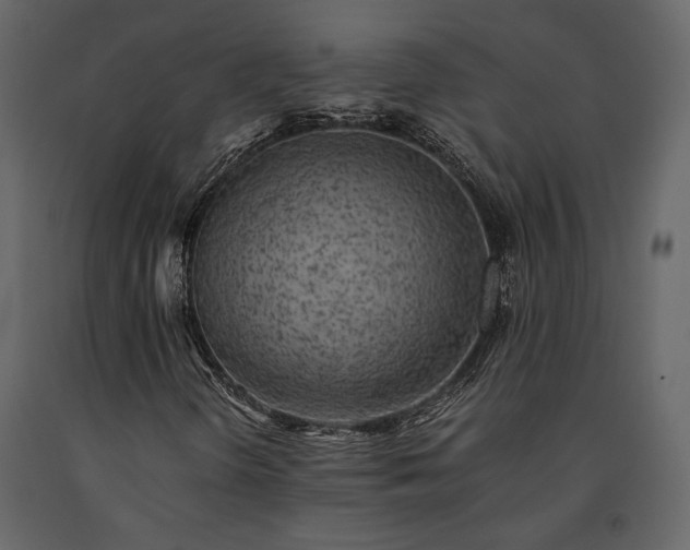 X0000091521298200708241641