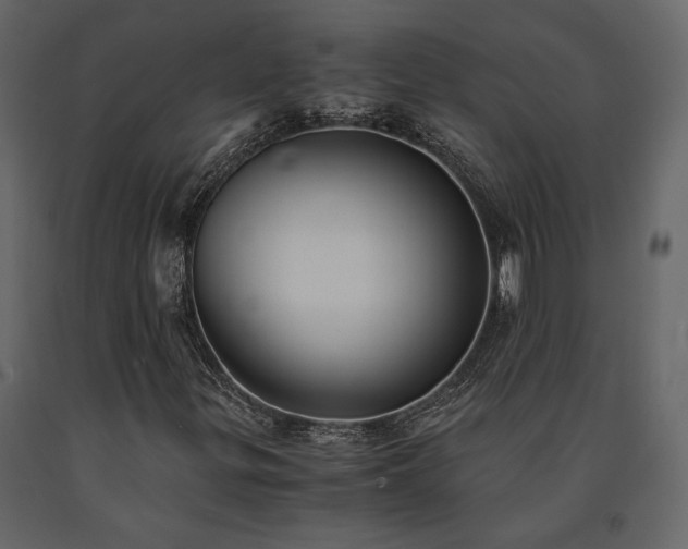 X0000091521299200708241641