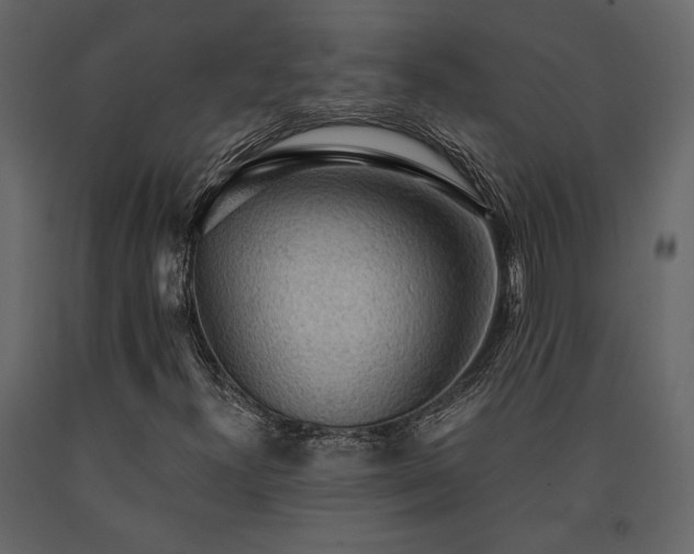 X0000091521300200708241641