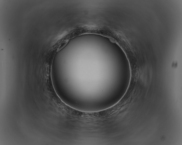 X0000091521301200708241641
