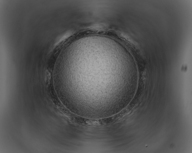 X0000091521302200708241641