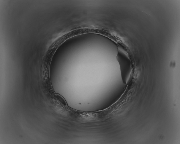 X0000091521303200708241641