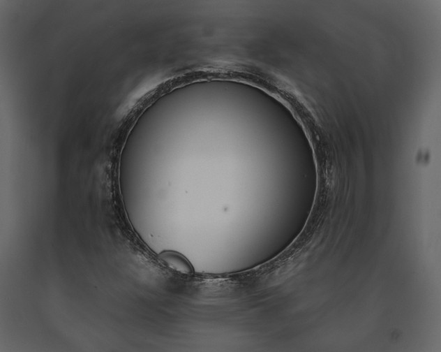 X0000091521304200708241641