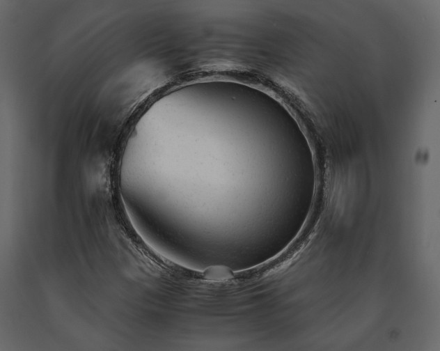 X0000091521305200708241641