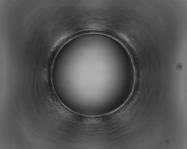 X0000091521307200708241641