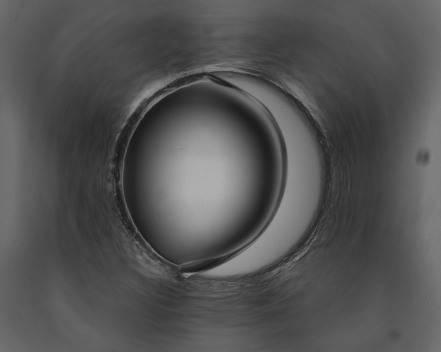 X0000091521308200708241641