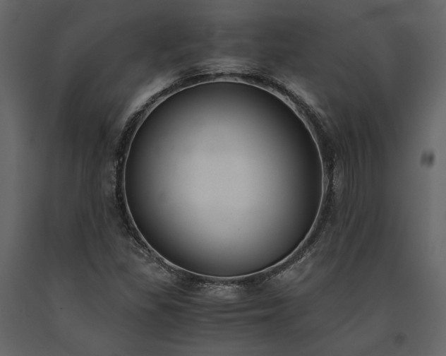 X0000091521309200708241641