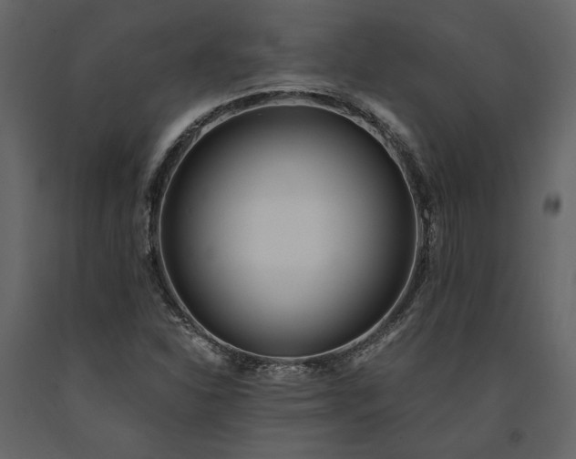 X0000091521310200708241641