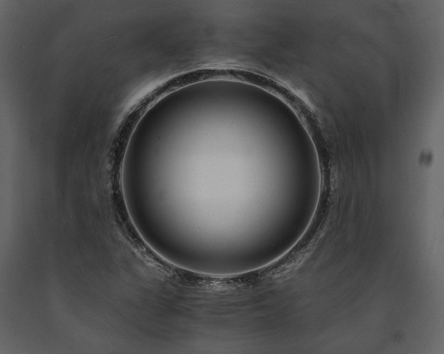 X0000091521311200708241641