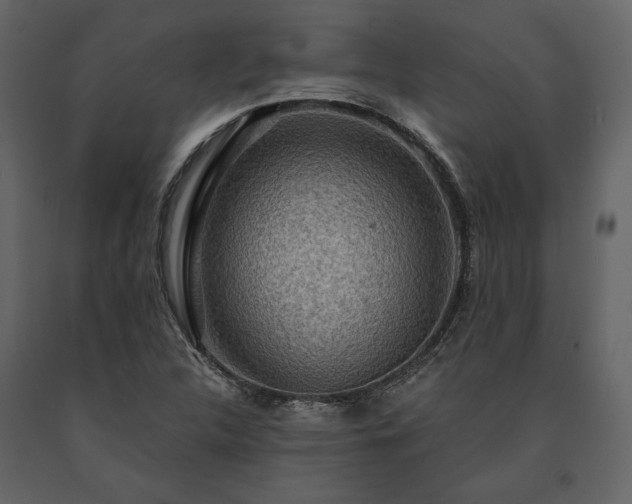 X0000091521312200708241641