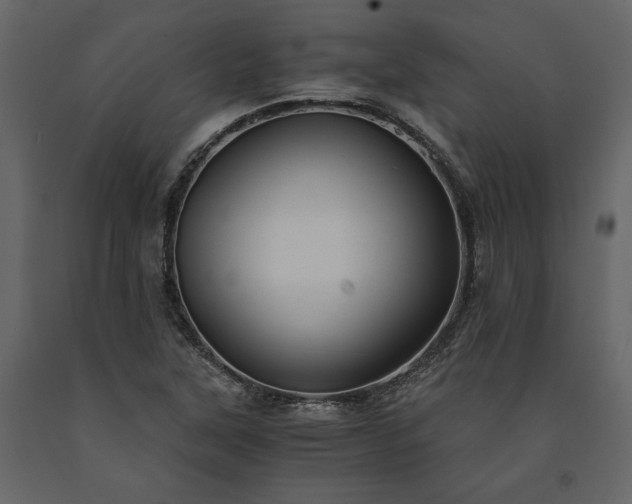 X0000091521315200708241642