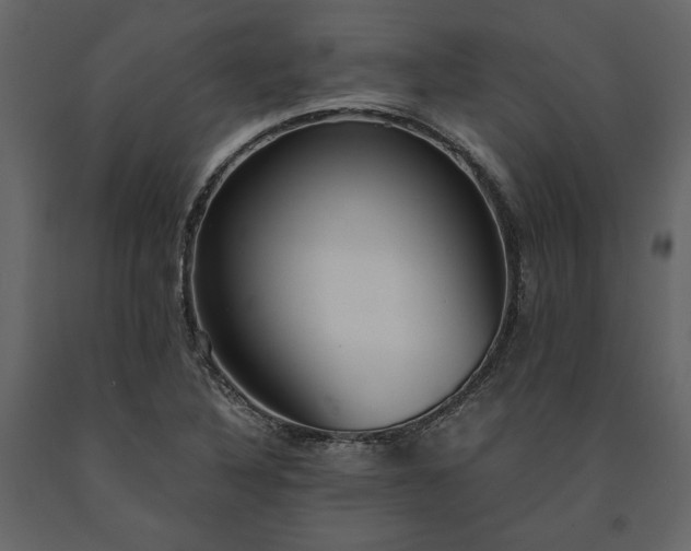 X0000091521316200708241642