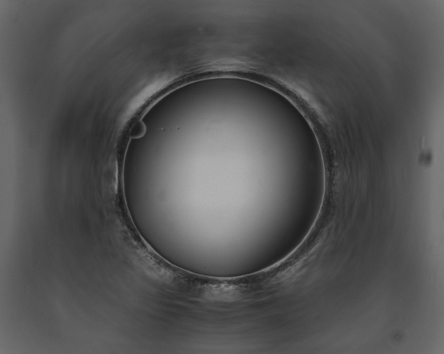 X0000091521317200708241642