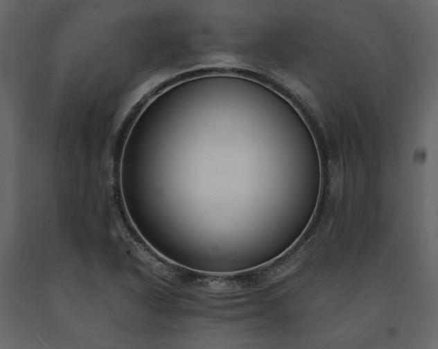 X0000091521318200708241642