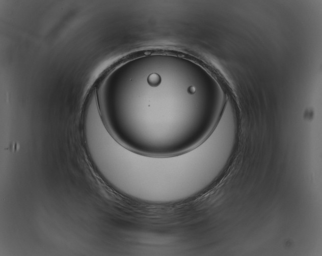 X0000091521320200708241642