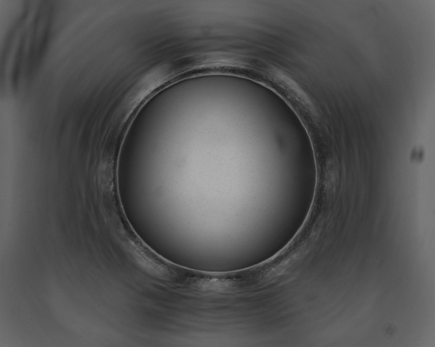 X0000091521321200708241642