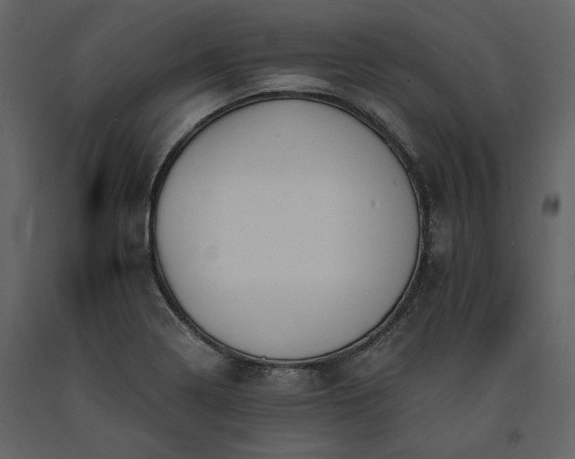 X0000091521322200708241642