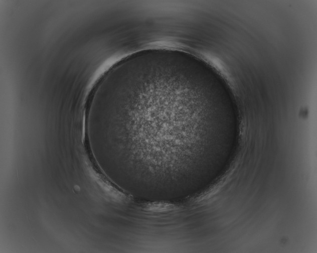 X0000091521323200708241642