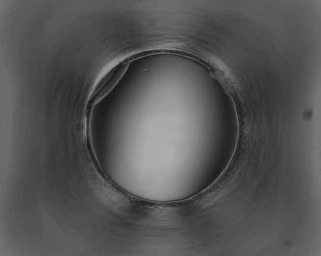 X0000091521324200708241642