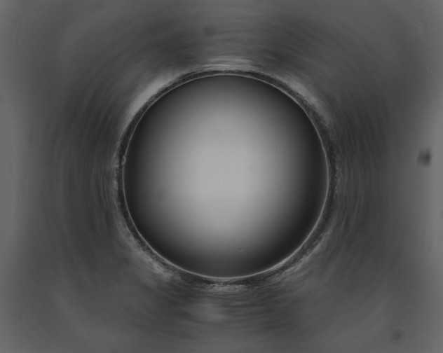 X0000091521325200708241642