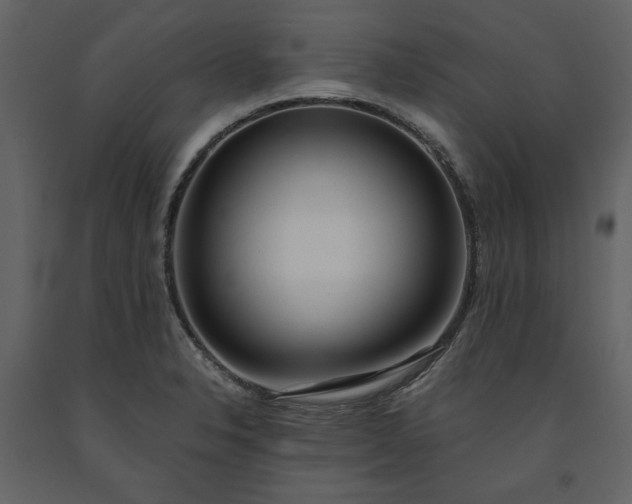 X0000091521326200708241642