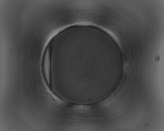 X0000091521327200708241642