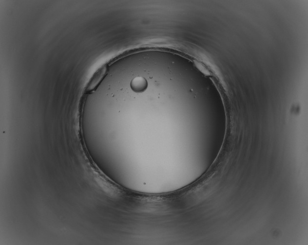 X0000091521328200708241642