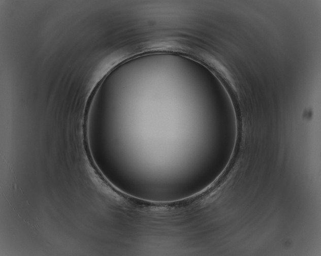 X0000091521330200708241642