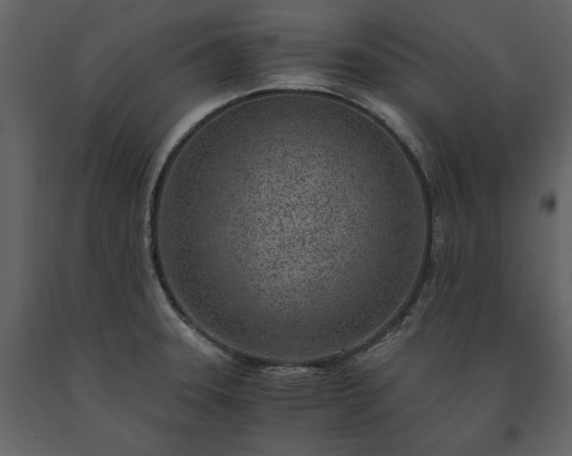 X0000091521331200708241642