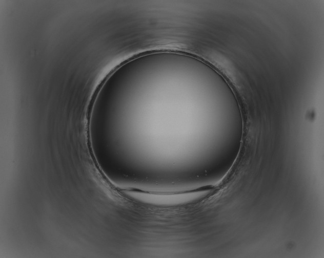 X0000091521332200708241642