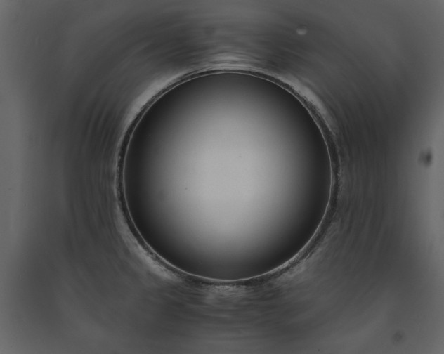 X0000091521333200708241642