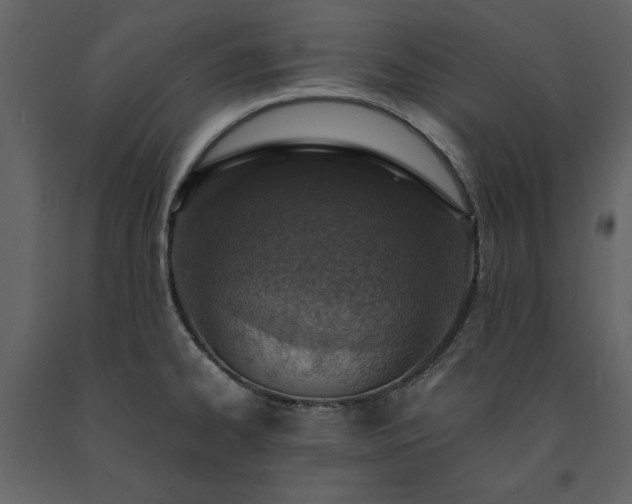 X0000091521334200708241642