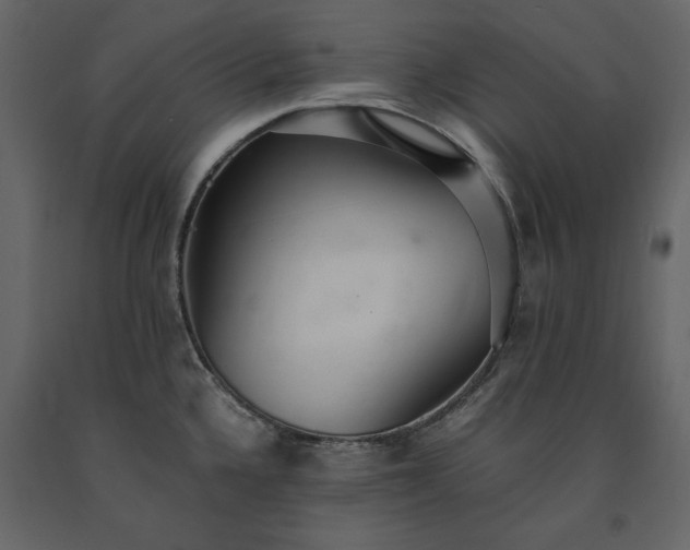 X0000091521336200708241642